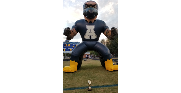 Falcon Mascot - Game Time